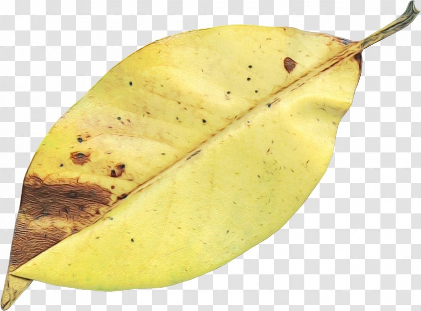 Autumn Food - Tree Transparent PNG