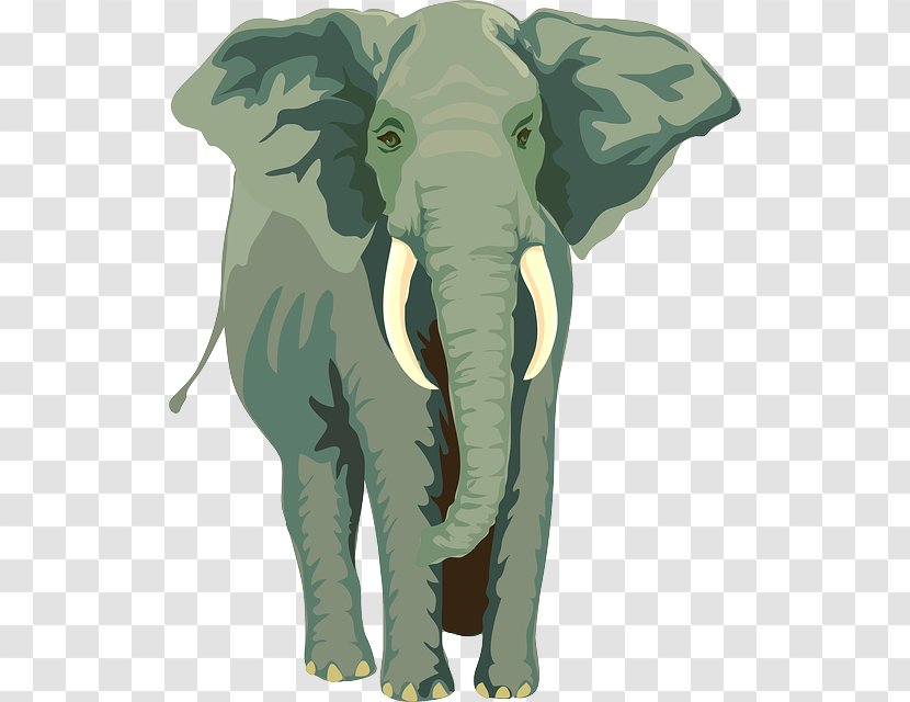 Elephants African Elephant Asian Rope Mooring Transparent PNG