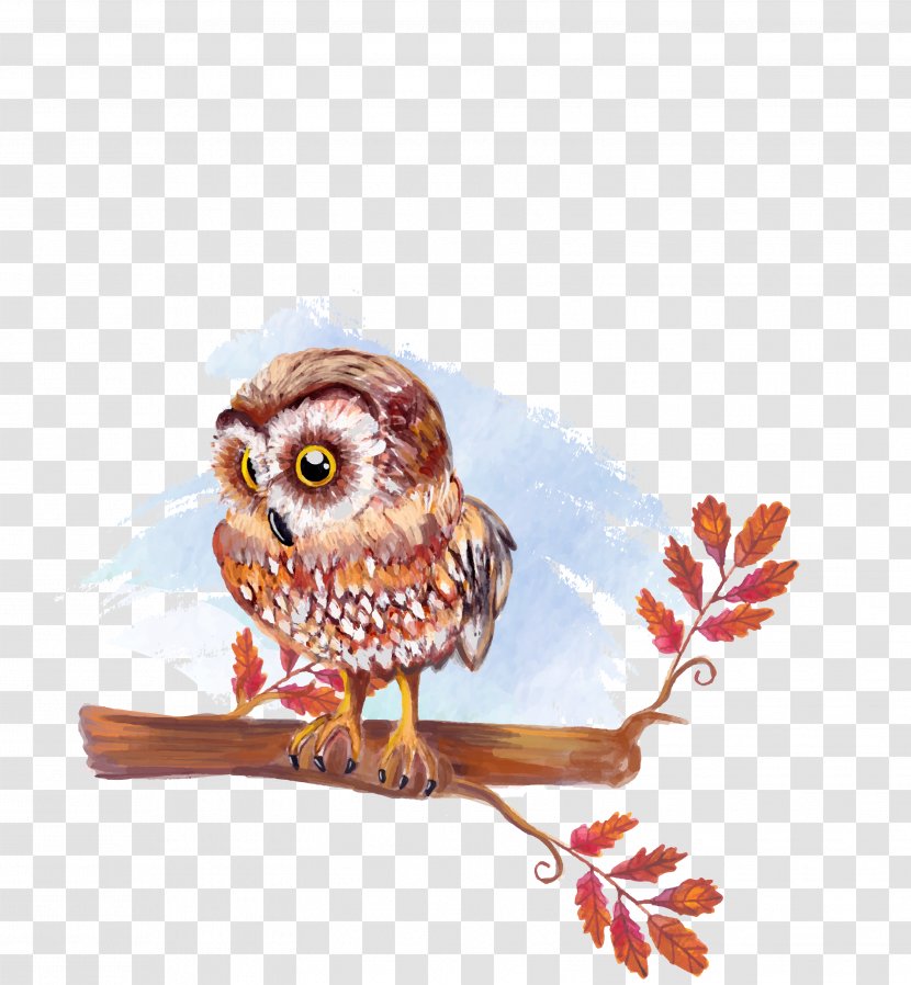 Owl Watercolor Painting Drawing Illustration - Vector Material Hand-painted Transparent PNG