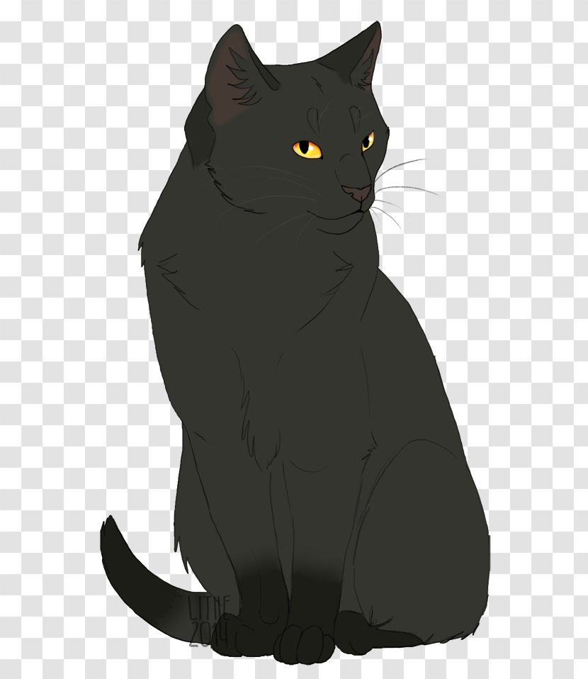 Bombay Cat Chartreux Korat Whiskers Domestic Short-haired - Black - Asian Transparent PNG