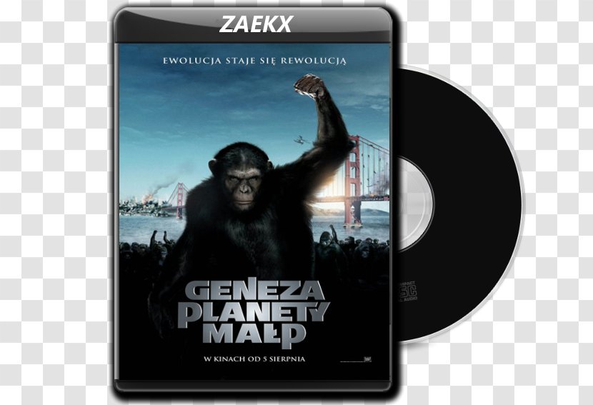 Planet Of The Apes Science Fiction Film Poster Director - Beneath - Young Godz Transparent PNG