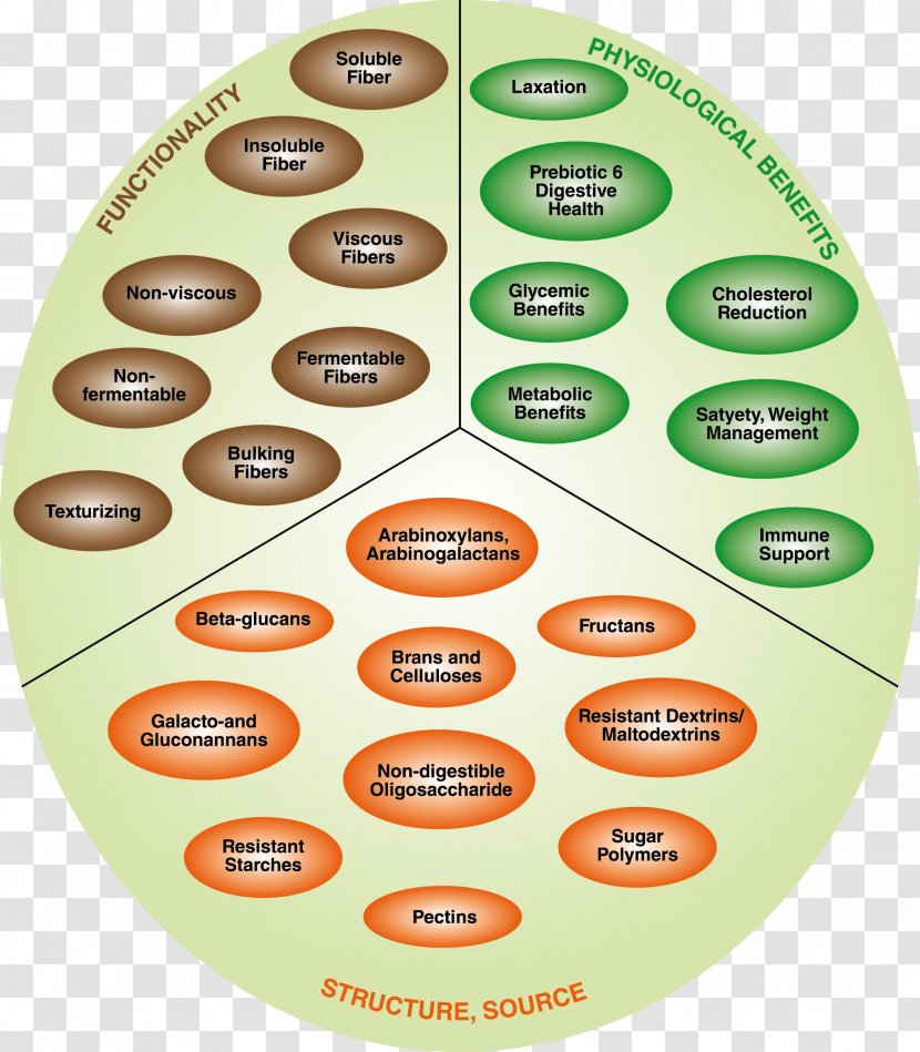 Dietary Fiber Food Prebiotic Carbohydrate Fermentation - Health Transparent PNG