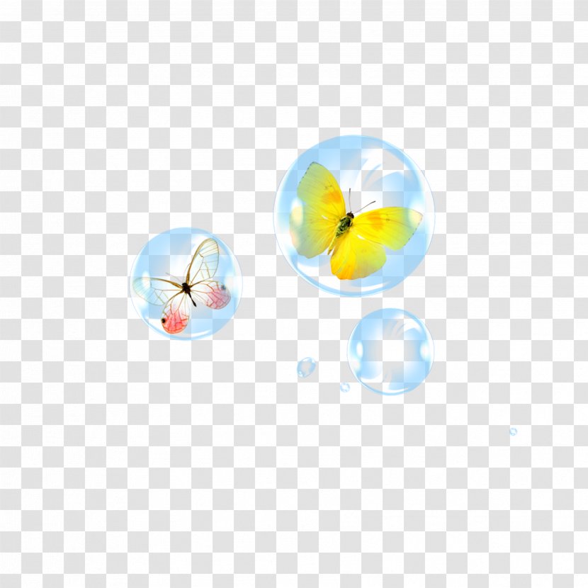 Butterfly - Raster Graphics - Bubble Transparent PNG