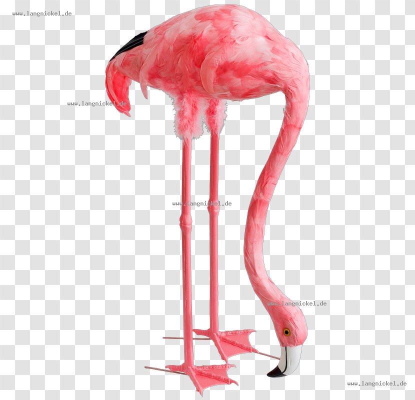 Flamingos Furniture Beak Industrial Design - Water Bird - Flamingo Bilder Comic Transparent PNG