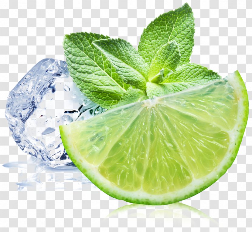 Mojito Lemonade Juice Lime - Food Transparent PNG