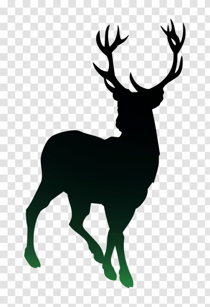 Reindeer Drawing White-tailed Deer Image - Sticker - Tail Transparent PNG