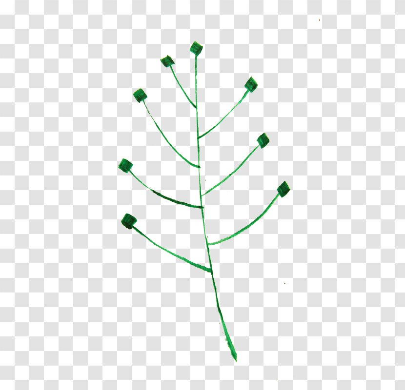 Leaf Circle Plant Stem Angle - Point - TWIG Transparent PNG