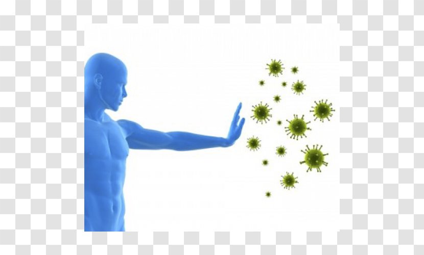 Immune System Immunity Dietary Supplement Health Vitamin D - Virus Transparent PNG