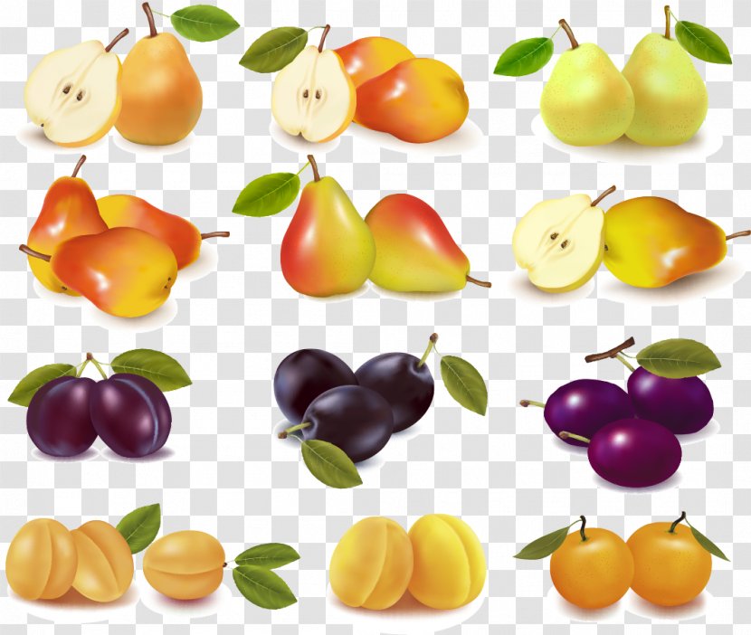 Fruit Illustration - Vegetable - Fresh Fruits Pears Vector Material Transparent PNG