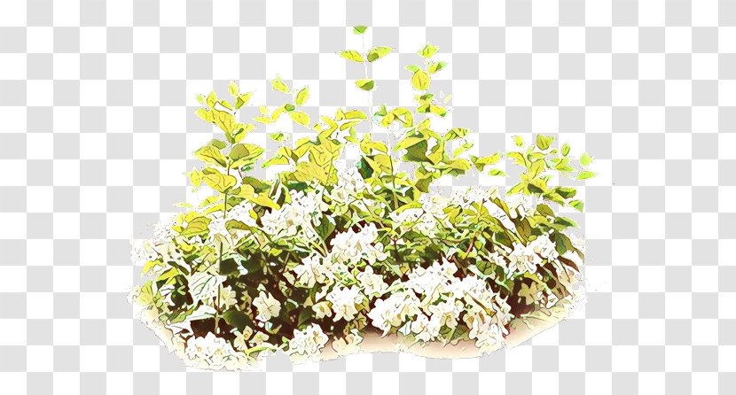 Floral Design - Grass - Perennial Plant Bouquet Transparent PNG