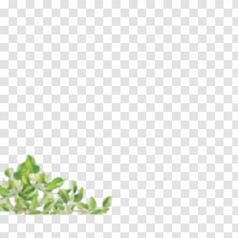 Leaf Tree - Grass - Blitzkrieg Graphic Transparent PNG