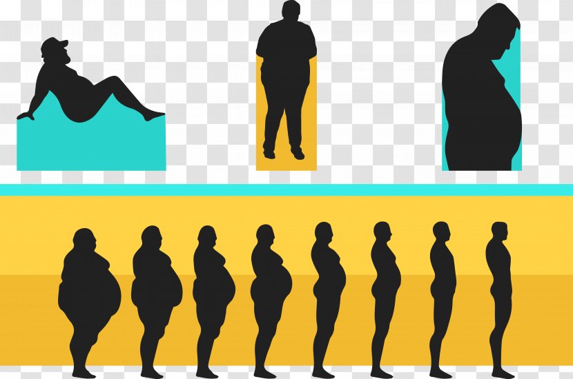 Dietary Supplement Weight Loss Management Adipose Tissue - Magnet - Fitness Vector Transparent PNG