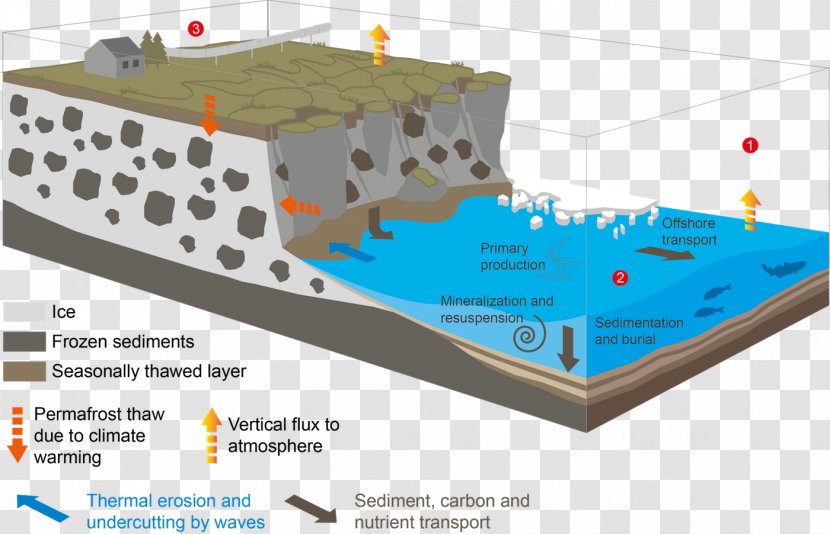 Arctic Coastal Erosion Diagram - Sea Biological Transparent PNG