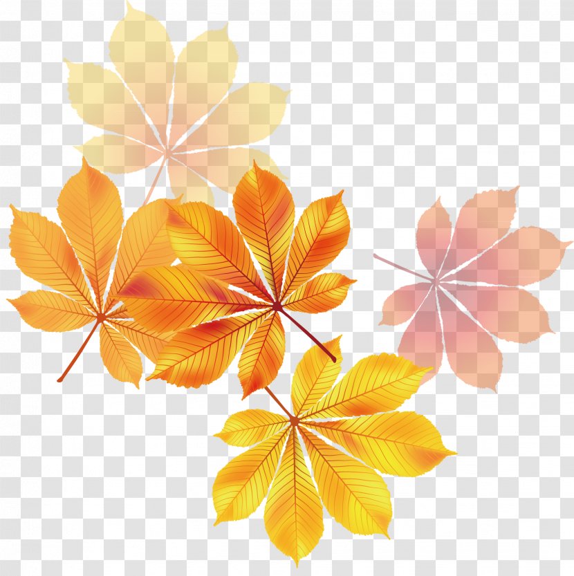 Maple Leaf Yellow Euclidean Vector - Material Transparent PNG