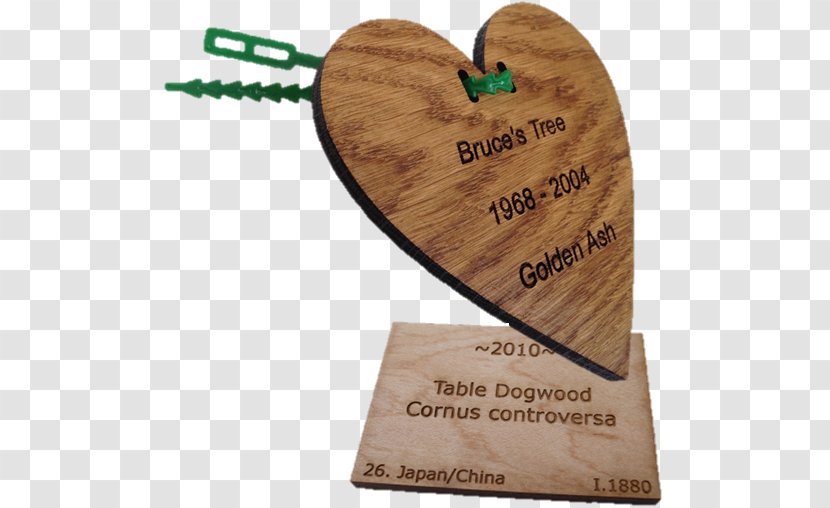 Label Laser Cutting Engraving - Wood Transparent PNG