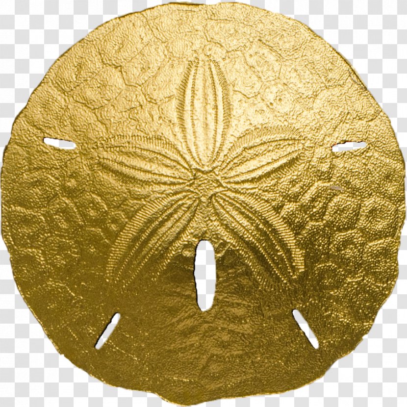 Sea Urchin Sand Dollar Gold Coin Transparent PNG