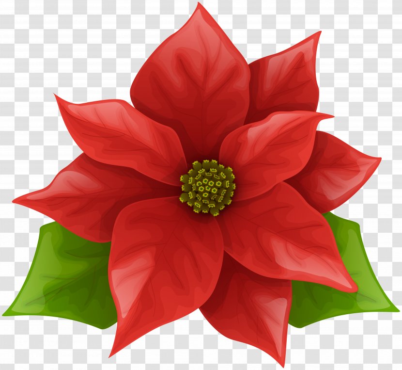 Poinsettia Clip Art - Christmas Image Transparent PNG