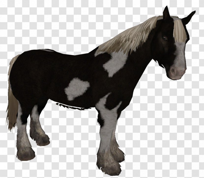 The Elder Scrolls V: Skyrim American Paint Horse Pony Mustang Foal - V - Riding Transparent PNG