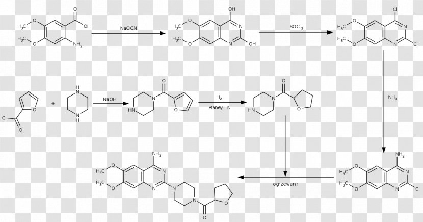 Pictet–Spengler Reaction Chemistry Sodium Hydroxide Dimethylformamide Chemical - Zona Pellucida Transparent PNG