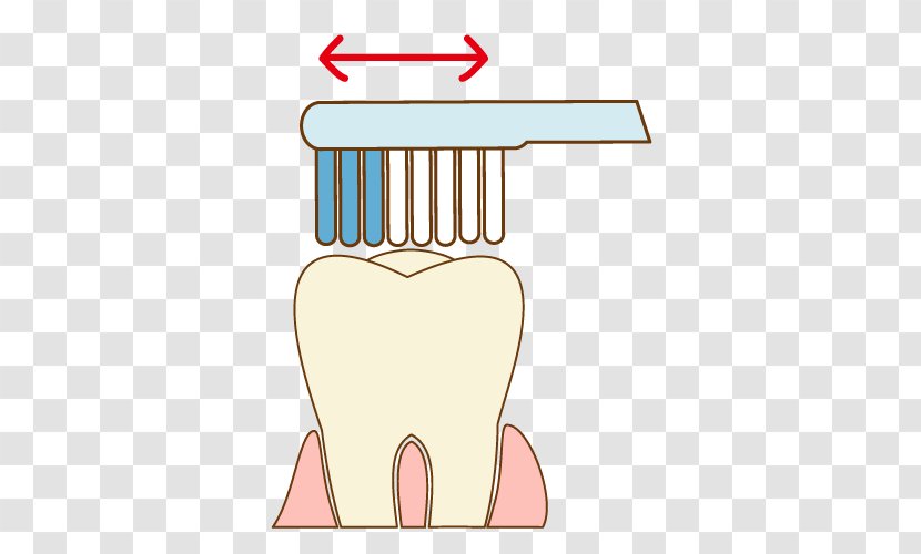 Tooth Jaw Finger Clip Art - Frame - Clean Teeth Transparent PNG