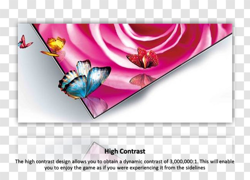 Brand - Butterfly - Design Transparent PNG