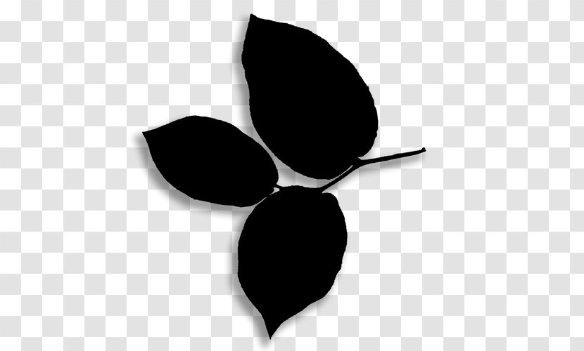 Leaf Product Design Clip Art - Blackandwhite - Flower Transparent PNG