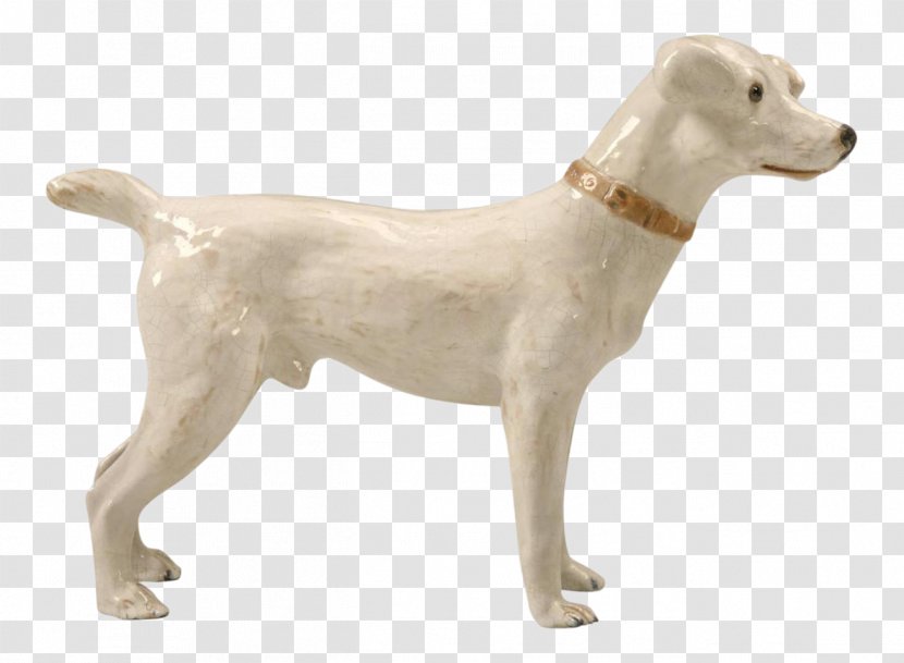 Dog Breed Sporting Group Retriever Companion Transparent PNG