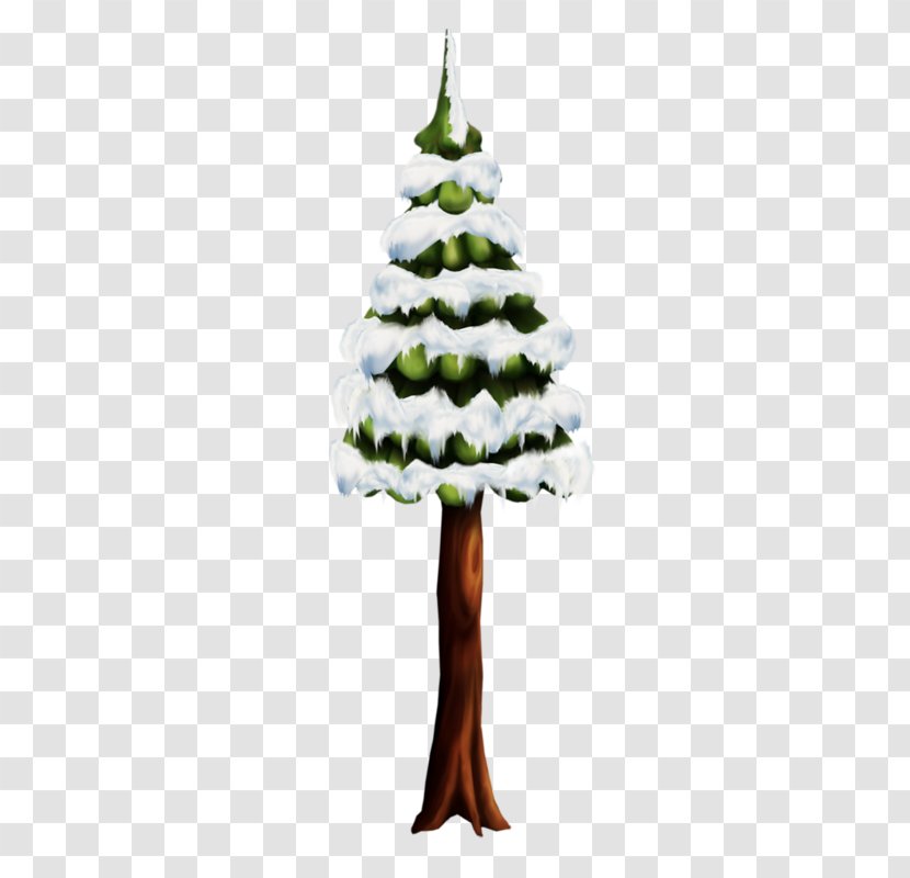 Cedar Pine Fir Christmas Tree - Ornament - Snow Transparent PNG