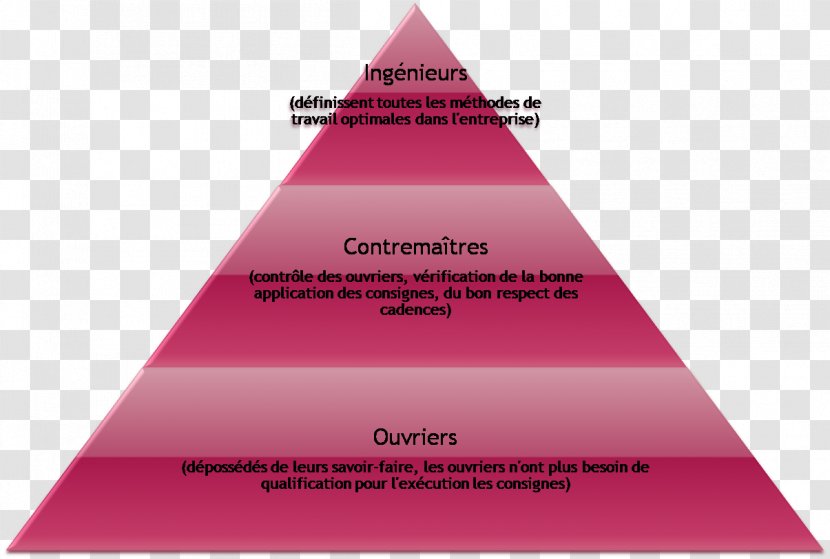 Scientific Management Division Verticale Du Travail Fordism Organisation Scientifique Toyotism - Method - Taylor Transparent PNG