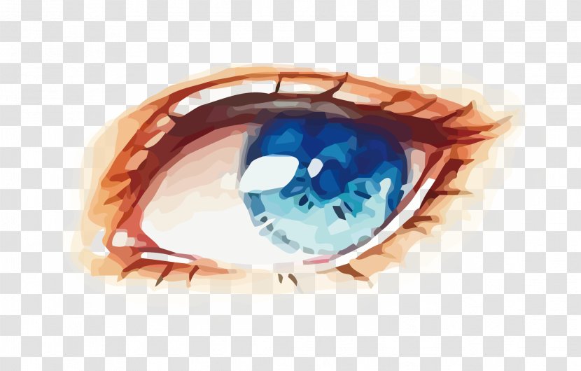Eye Blue Watercolor Painting - Flower - Vector Eyes Transparent PNG