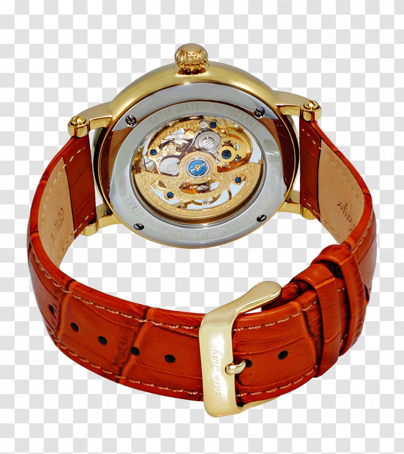 Nomos Glashütte Analog Watch Clock Zenith - Strap Transparent PNG