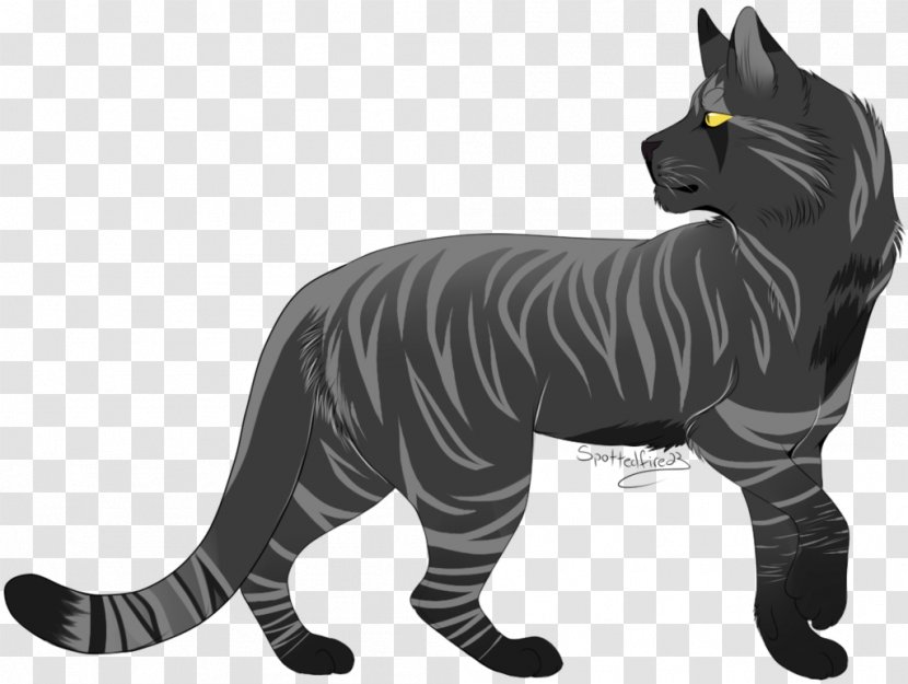 Darkstripe Cat Whiskers Art Rising Storm - Mammal Transparent PNG