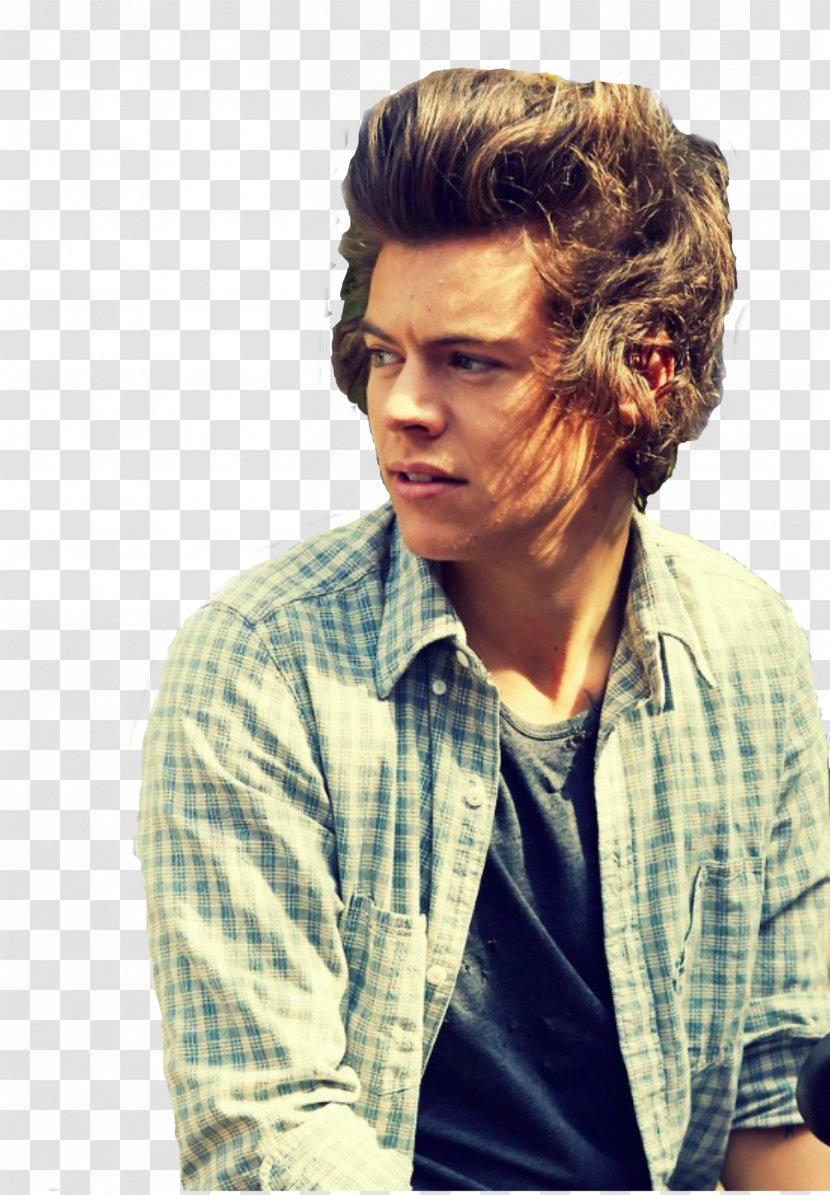 Harry Styles One Direction Midnight Memories Photography Love - Silhouette Transparent PNG