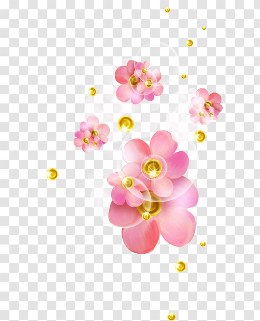 Pink Desktop Wallpaper Flower Color Transparent PNG
