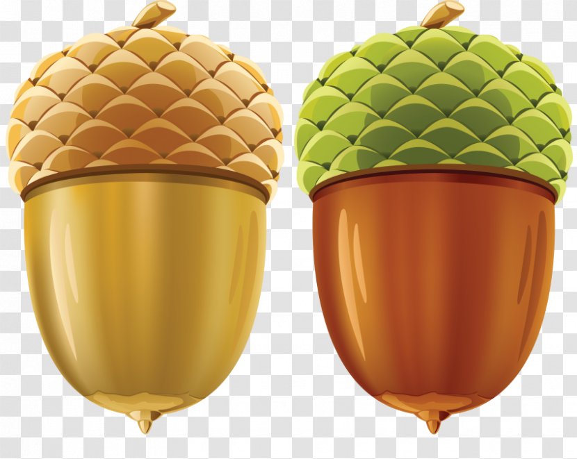 Acorn Clip Art Oak Image - Food Transparent PNG