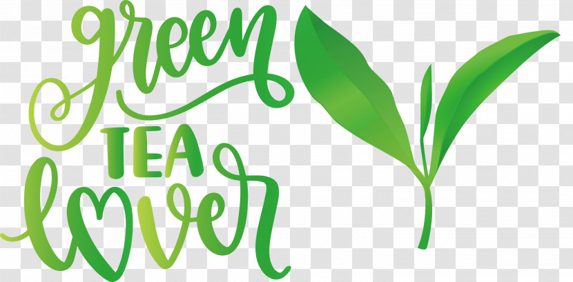 Green Tea Lover Tea Transparent PNG