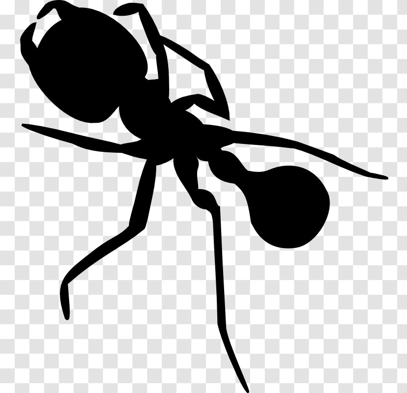 Clip Art Insect Silhouette Line - Carpenter Ant Transparent PNG