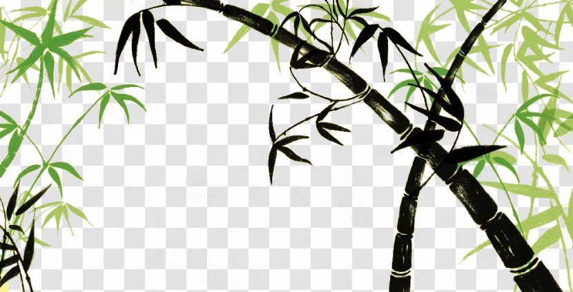 Zongzi Bamboo Drawing - Flora - Hand-painted Sketch Transparent PNG
