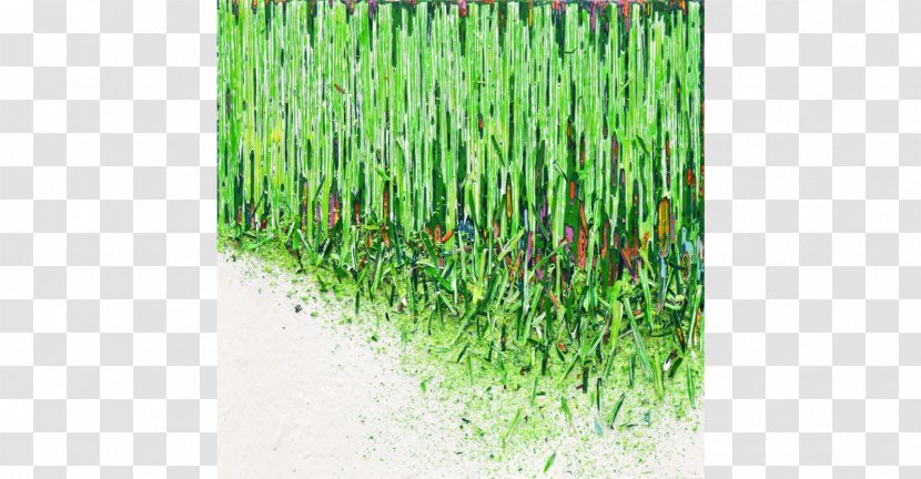 Canvas Painting Vetiver Magazine Records Acrylic Paint - Chrysopogon Zizanioides - Never Say Goodbye Transparent PNG