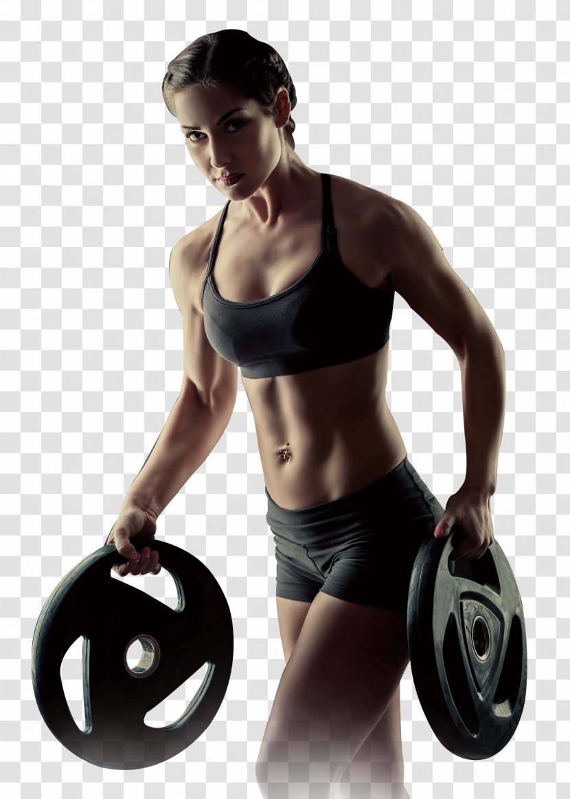 Weight Training Bodybuilding Physical Fitness - Silhouette - Sports Posters Transparent PNG