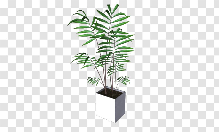 Arecaceae Flowerpot Houseplant Plant Stem Leaf - Tree Transparent PNG