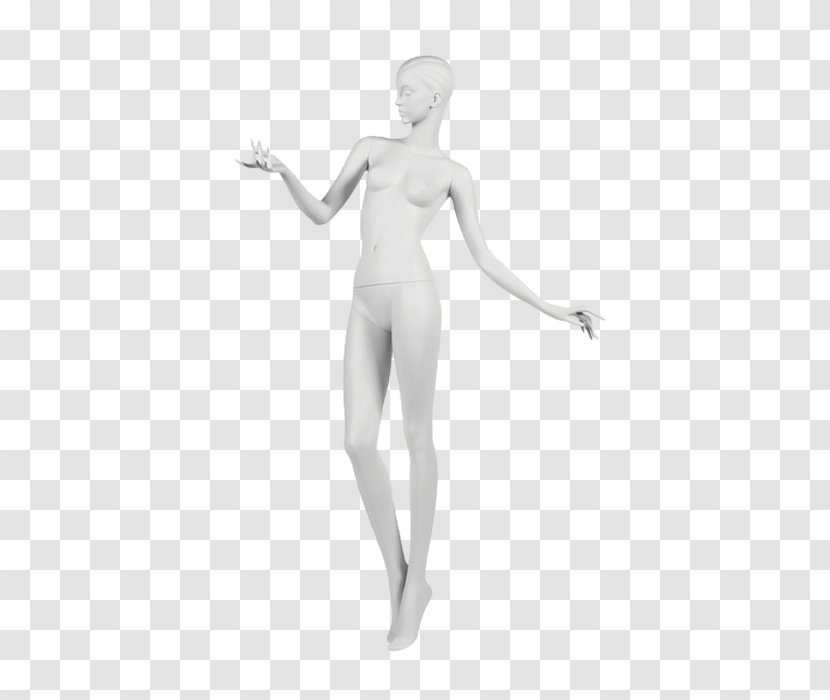 Hip Human H&M Abdomen Mannequin Transparent PNG