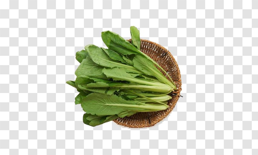Choy Sum Romaine Lettuce Cabbage Spring Greens Collard - Spinach - Organic Green Transparent PNG
