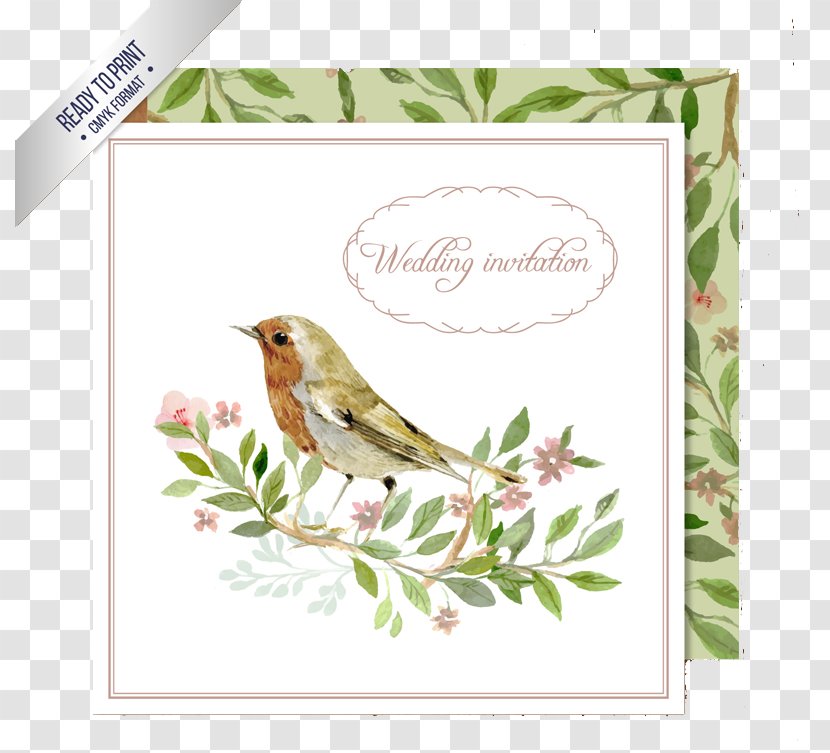 Wedding Invitation Bird Watercolor Painting Clip Art - Flowers Card Vector Material Transparent PNG