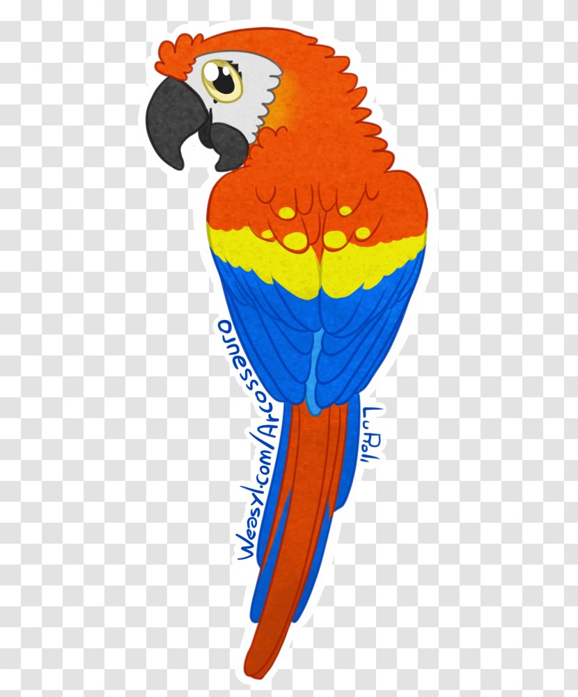 Scarlet Macaw Parrot Sticker Beak - Fictional Character - Cangaccedilo Badge Transparent PNG