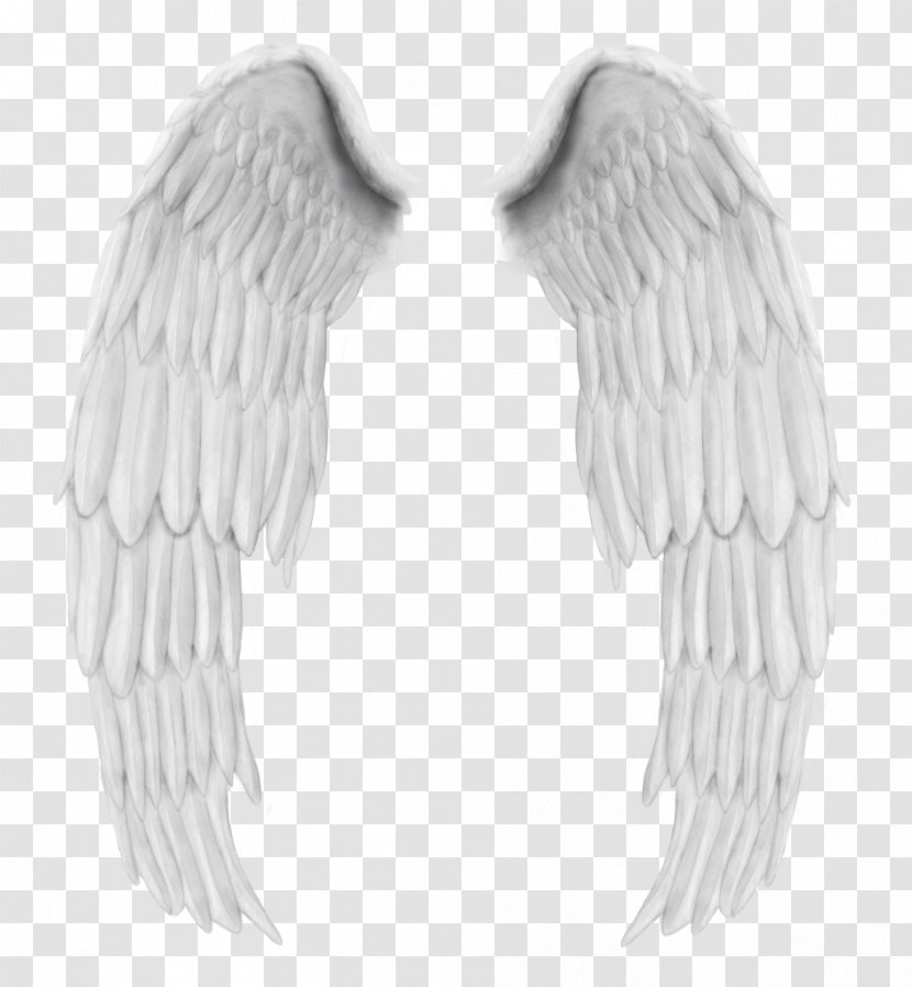Angel Wings Buffalo Wing - Fictional Character - Fashion Album Transparent PNG