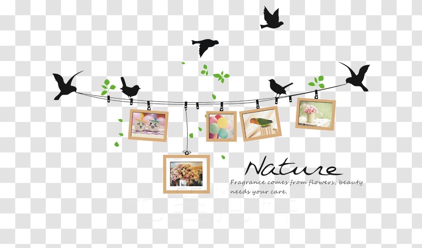 Baby Photo Wall Creative - Brand - Logo Transparent PNG