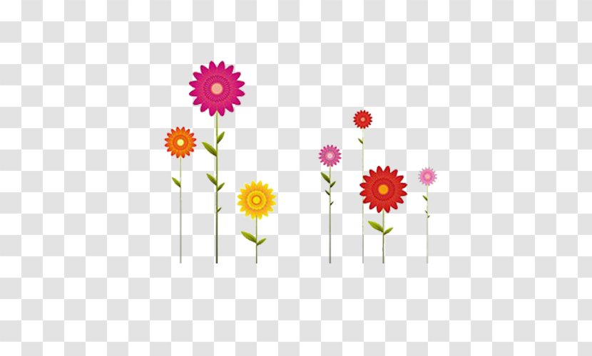 Transvaal Daisy Flower Drawing Common Illustration - Point - Tenacious Colored Sunflowers Transparent PNG