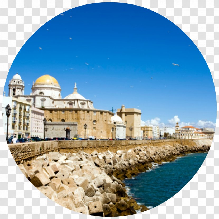 Cádiz Cathedral Palma Cruise Ship Accommodation - Historic Site Transparent PNG