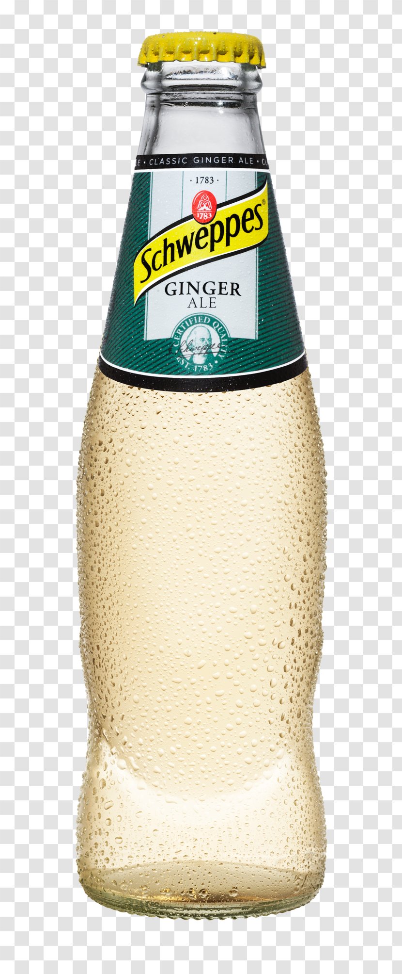 Ginger Ale Fizzy Drinks Cocktail Tonic Water Beer - Drink Transparent PNG
